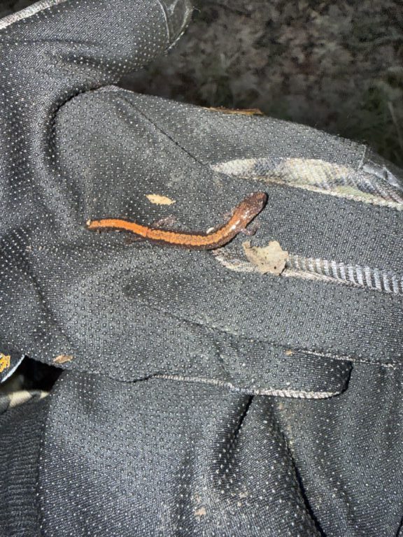 Ekovach67 - description goes here.