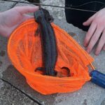 Record 36685 voucher