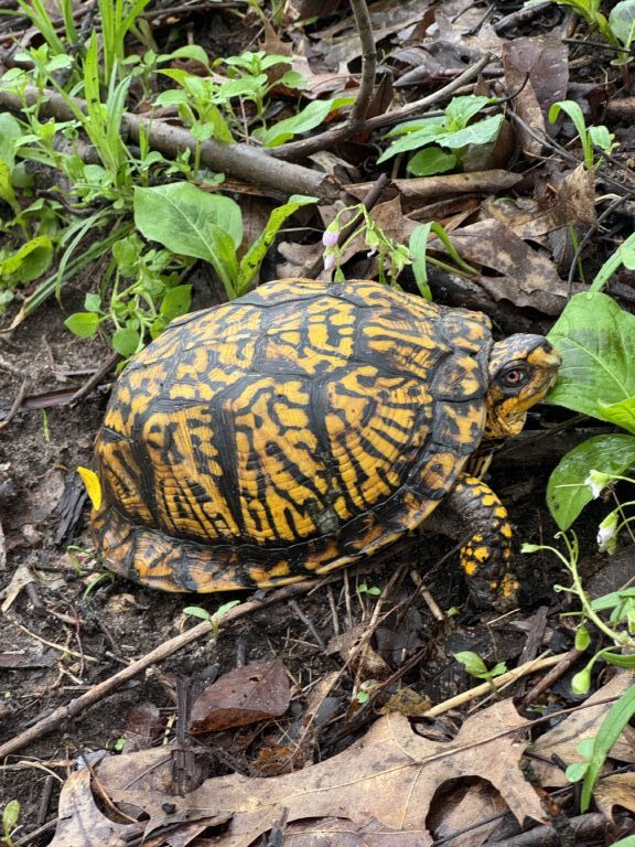 Jtaylor11 - description goes here.