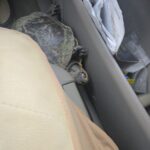 Record 36728 voucher