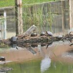 Record 36780 voucher