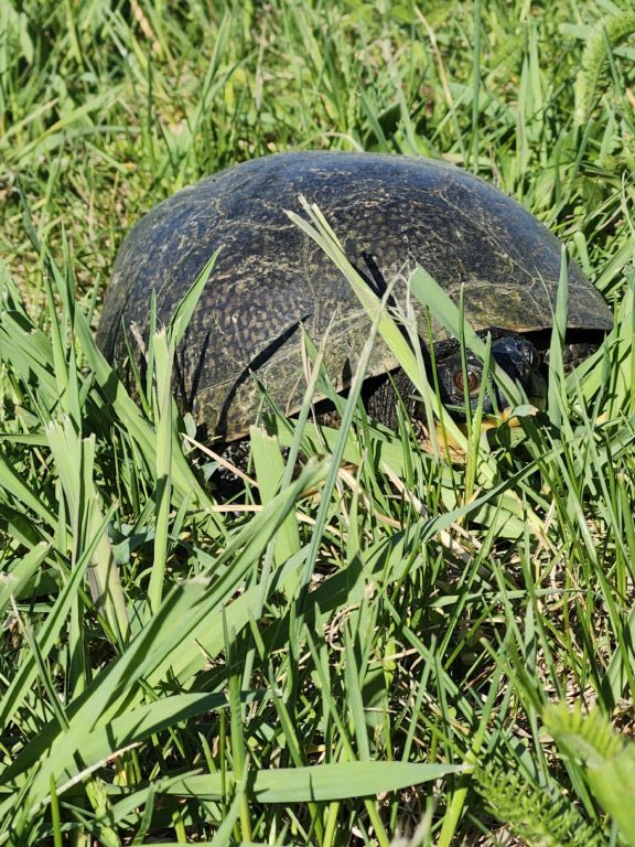 April - description goes here.